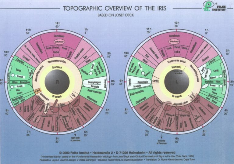 How To Read Iridology Chart: The Definitive Guide 