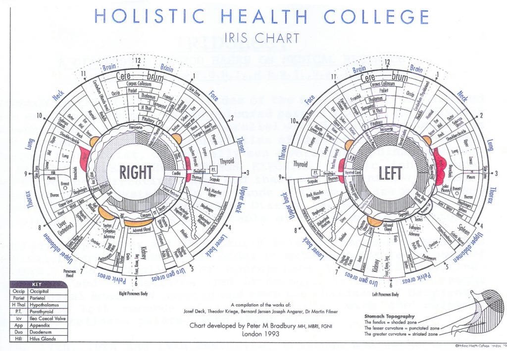 Eye Chart Iridology 