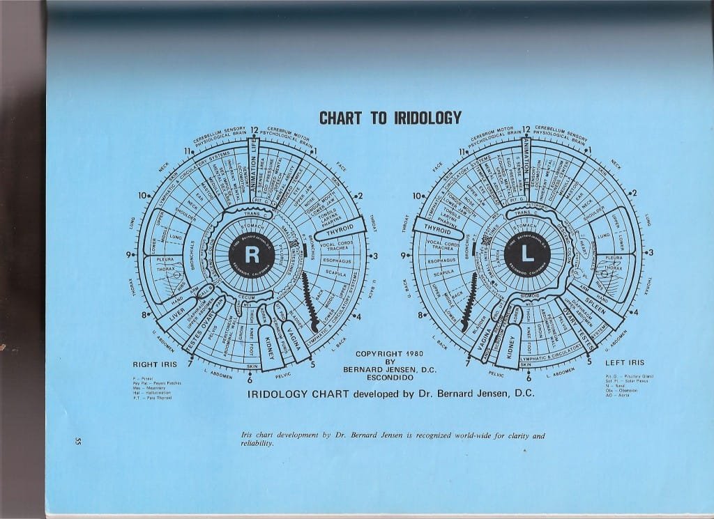 Dr. Jensen's iridology chart