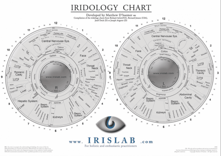 Iridology Pictures And Meanings Maikong Iridology Camera Iriscope