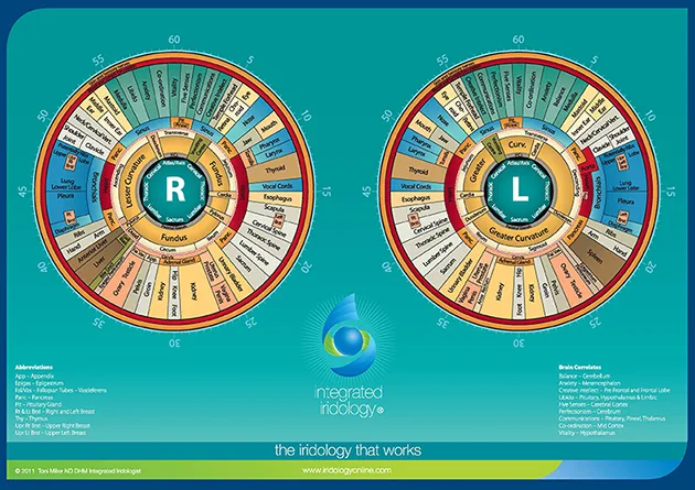 toni miller iridology eye chart
