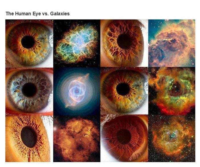 iridology pictures