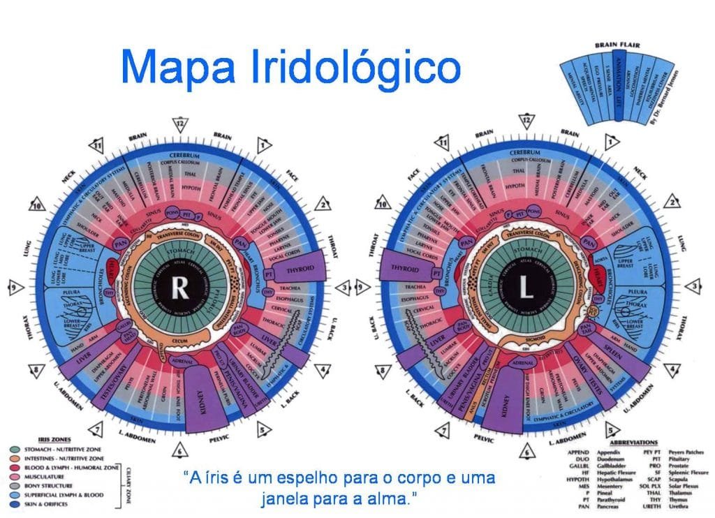 iridology eye chart diagnosis 14