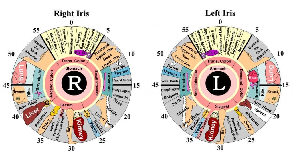 iridology eye chart diagnosis 9