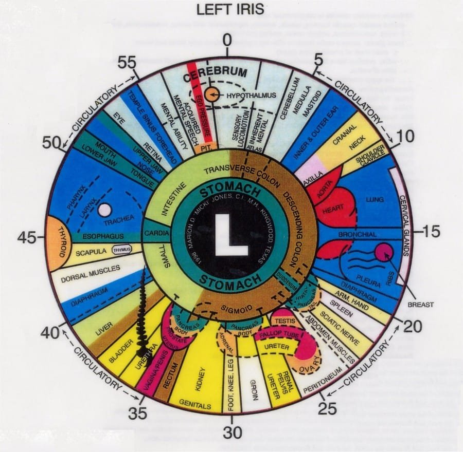 iridology chart left eye 
