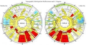 Pcs Iris Diagnosis Chart Maikong Iridology Camera Iriscope Leading Manufacturer