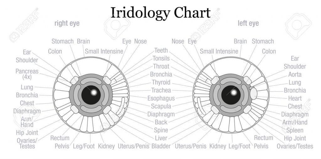 نمودار بدن چشم 16 eye body chart