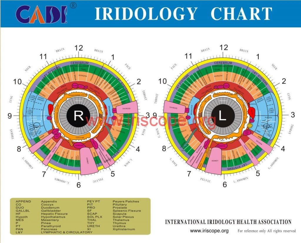 نمودار بدن چشم 10 eye body chart