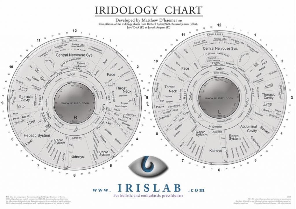iridology chart how to read