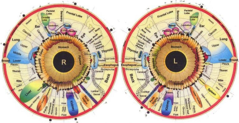 sclerology-chart-free-iriscope-iridology-camera-iriscope-camera