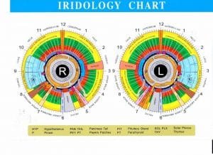 Sclerology Eye Chart – MAIKONG Iridology Camera & Iriscope-Leading ...