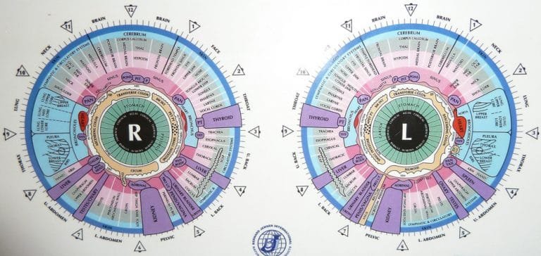 iridology diagnosis chart (9)