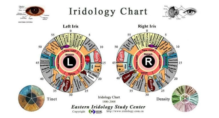 Iridology Diagnosis Chart Here S A Quick Way To Know Maikong