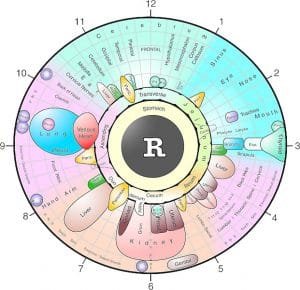 Eye Reflexology Chart Pcs Free Downlaod Maikong Iridology Camera