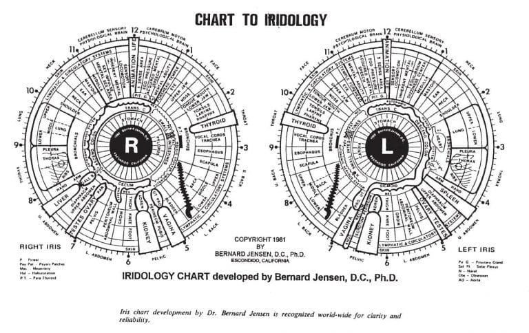 Jensen Iridology Chart Here S A Quick Way To Get Maikong Iridology