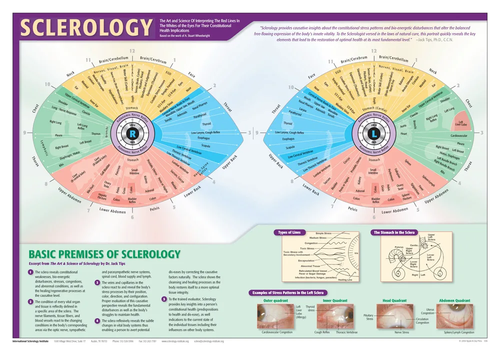 eye reflexology chart