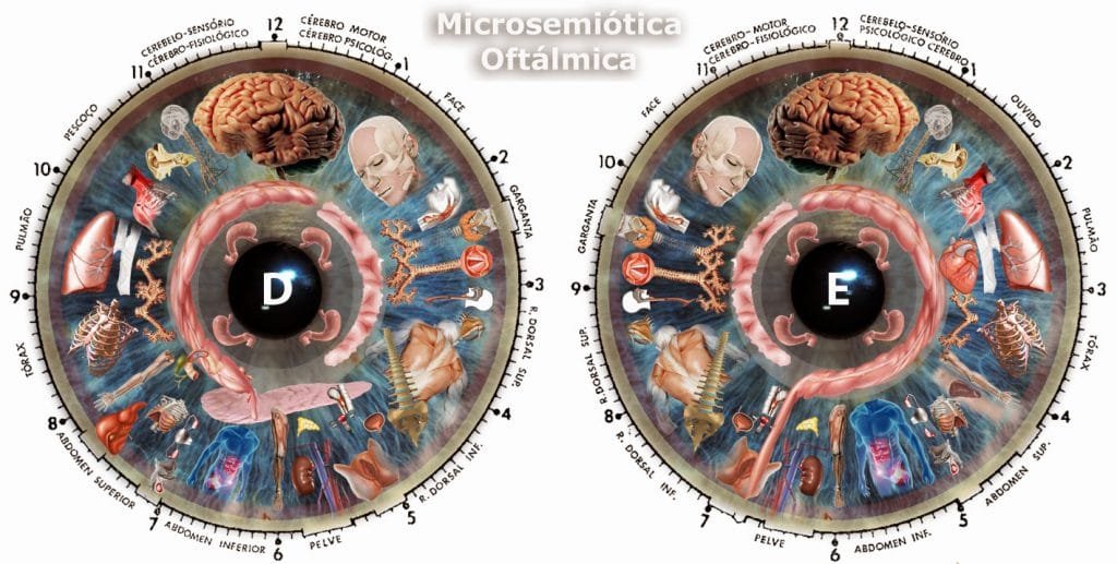 eye reflexology chart