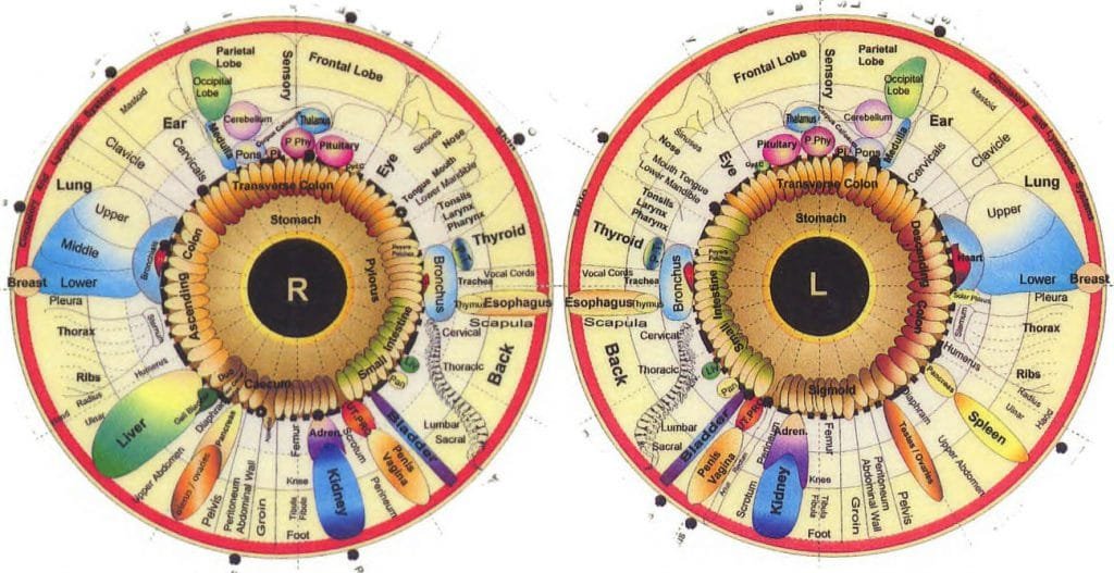 how to read iridology eye charts
