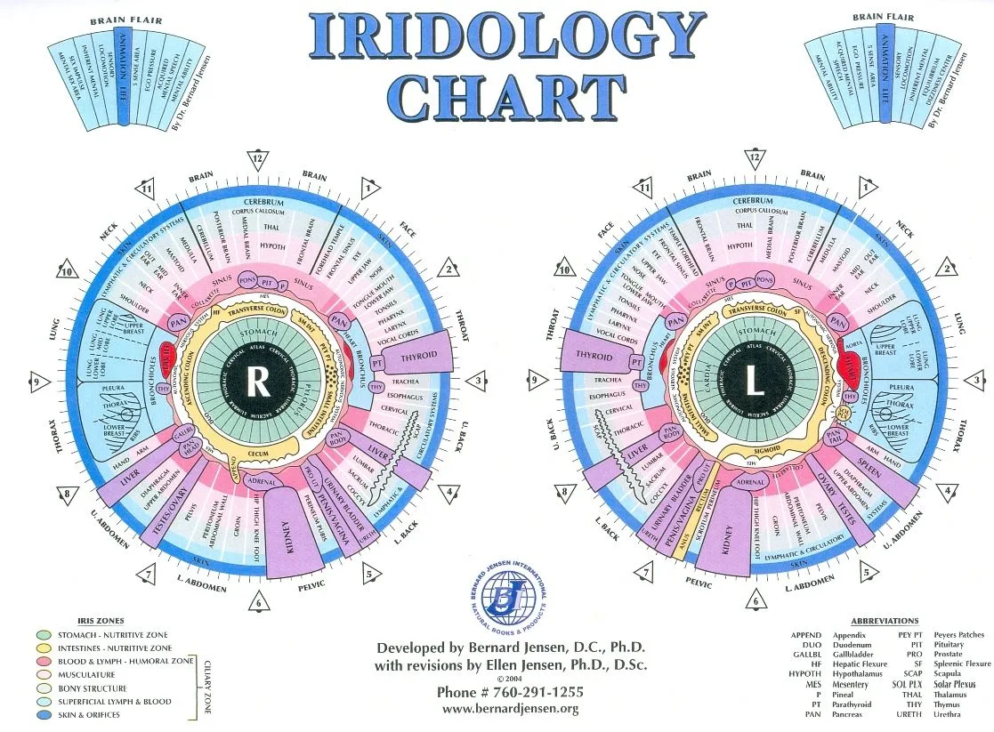Iridology chart