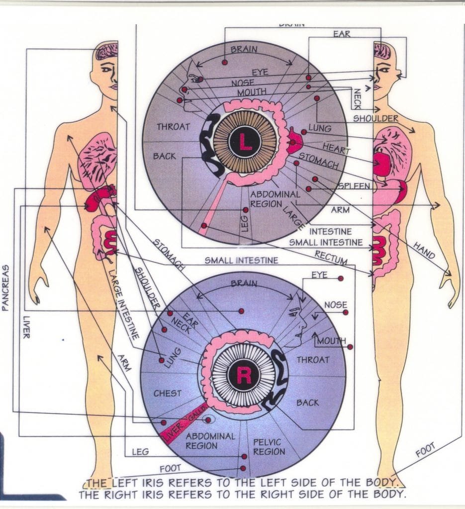 Maikong Iridology  chart