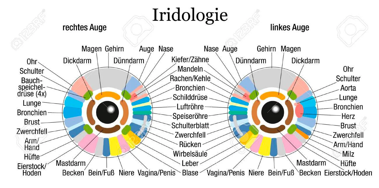 USB Camera Software Iridology: A Revolutionary Tool for Health Analysis