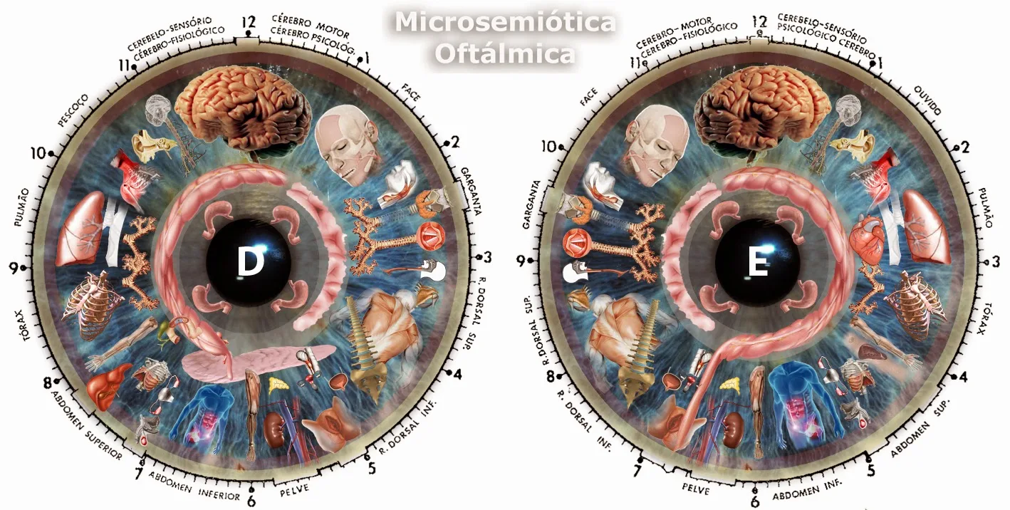 USB Camera Software Iridology: A Revolutionary Tool for Health Analysis