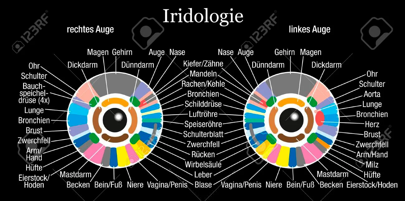 USB Camera Software Iridology: A Revolutionary Tool for Health Analysis