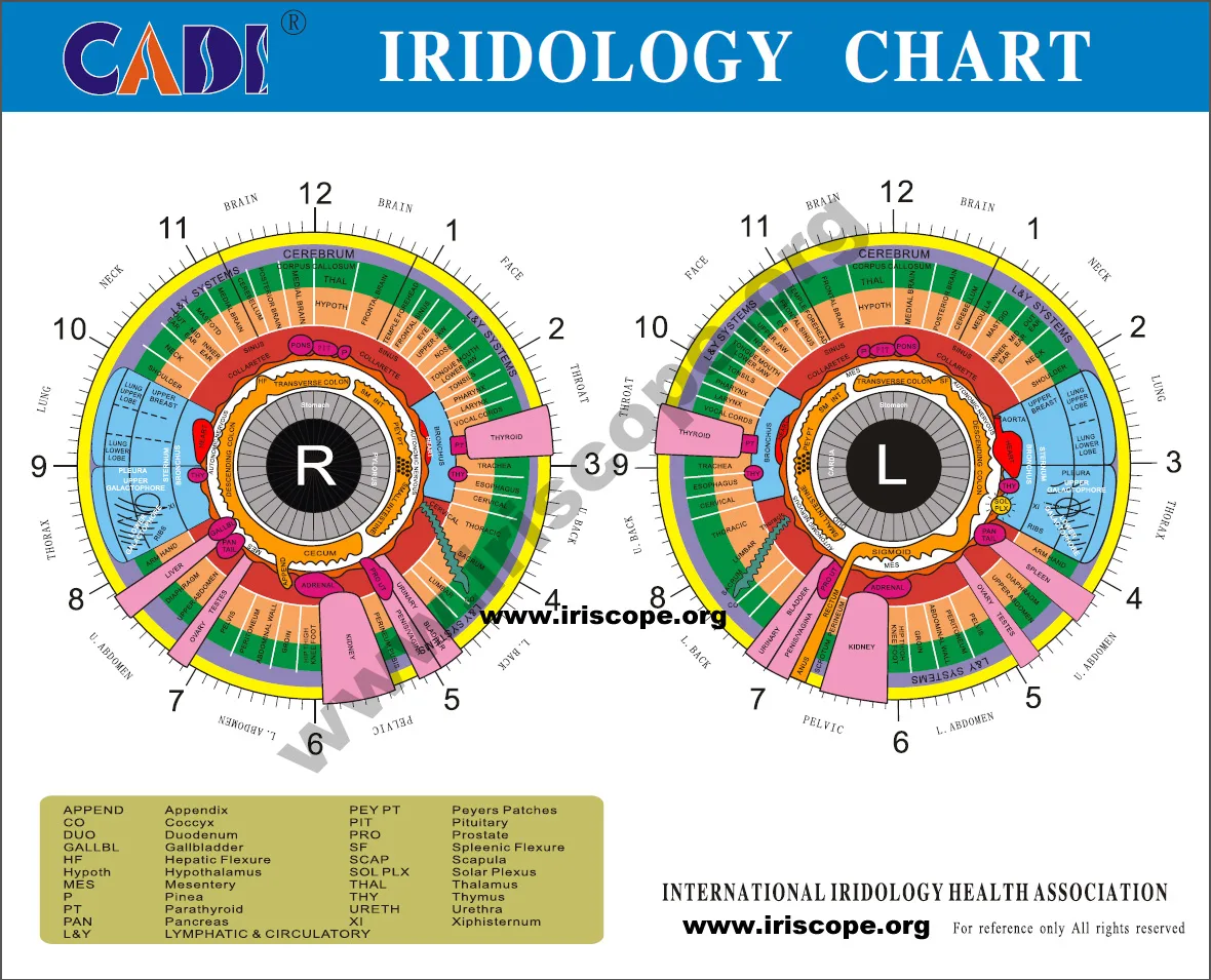 USB Camera Software Iridology: A Revolutionary Tool for Health Analysis