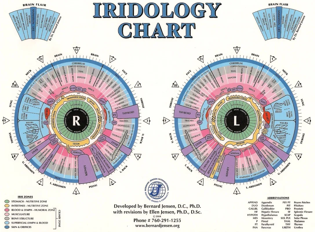 USB Camera Software Iridology: A Revolutionary Tool for Health Analysis