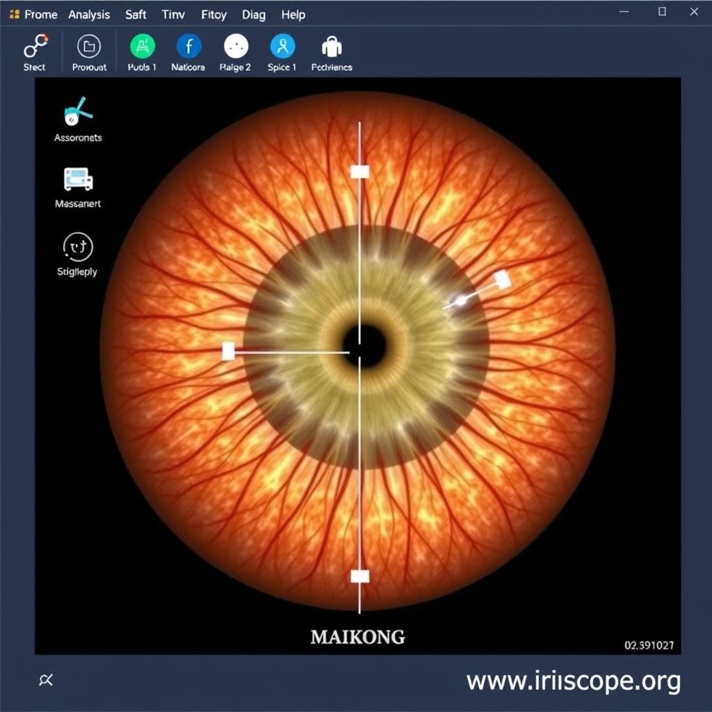 MAIKONG iridology software interface showing iris analysis tools