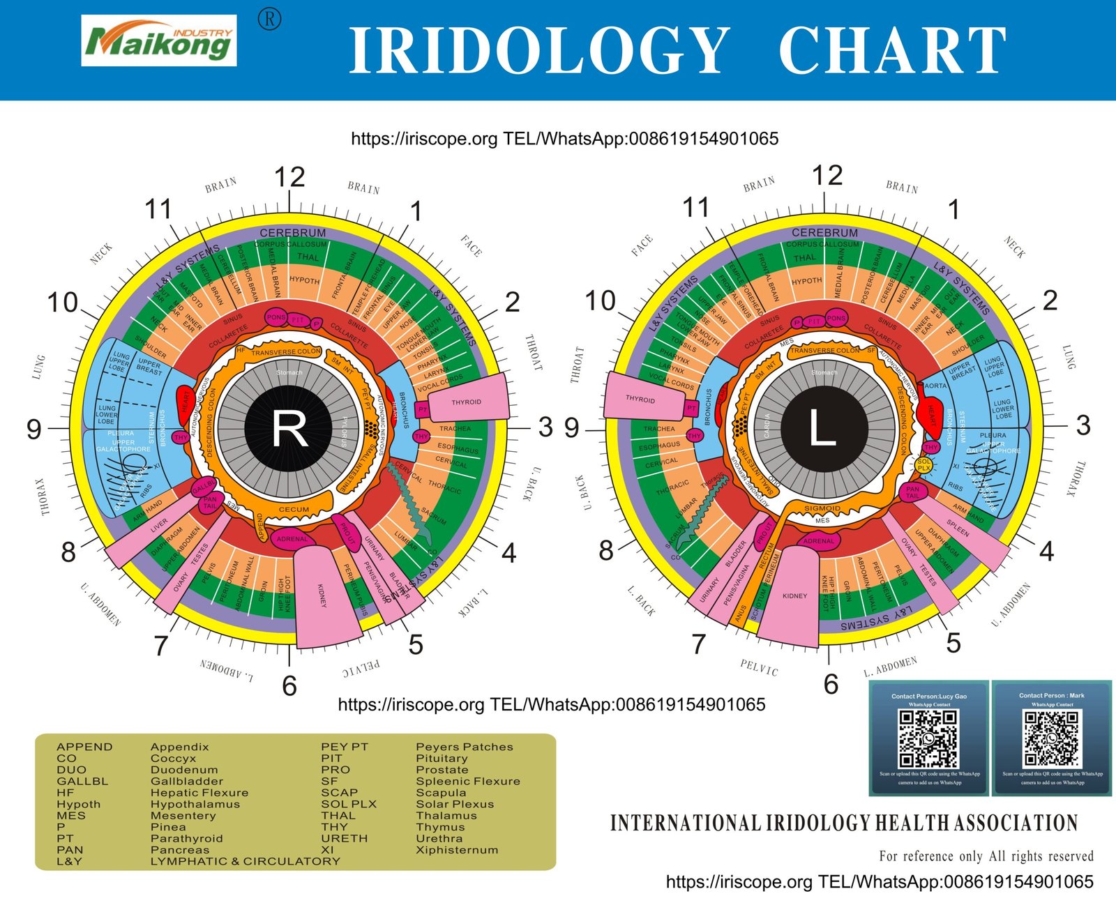 Dr David Pesek Iridology Advanced Methods quipement Dr David Pesek Iridology Advanced Methods quipement