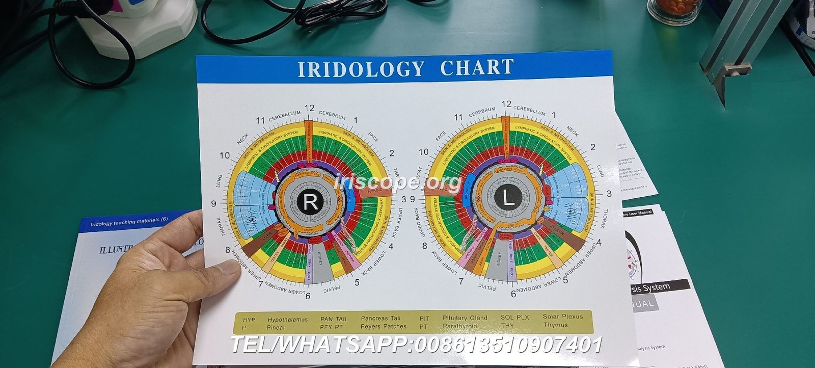 Professional Iridology Camera