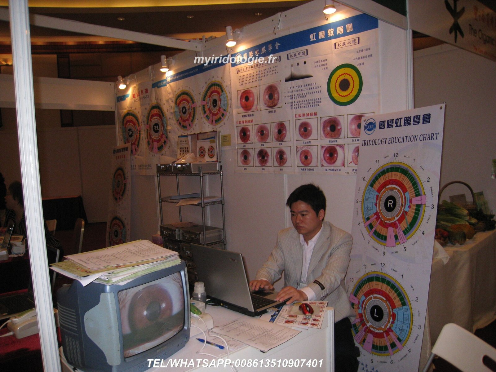 Close-up of human iris showing iridology markings and analysis points for iridology certification